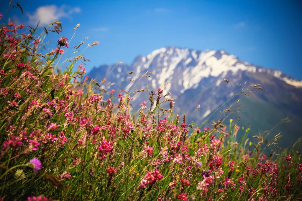 fruehling st johann 02